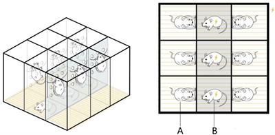 Prenatal Stress Impairs Postnatal Learning and Memory Development via Disturbance of the cGMP–PKG Pathway and Oxidative Phosphorylation in the Hippocampus of Rats